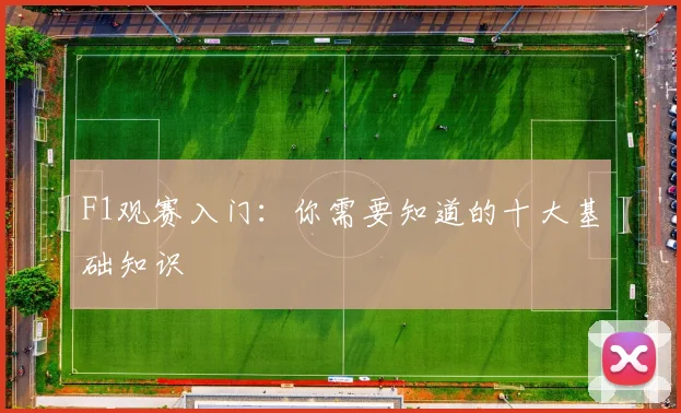 F1观赛入门：你需要知道的十大基础知识